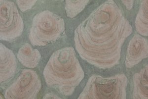 sample slab 1 thumbnail 2