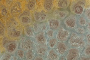 Slab #10 thumbnail 2