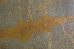 Slab #10 thumbnail 3